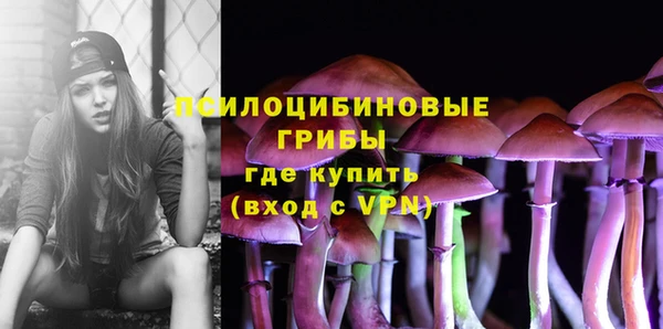 сатива Нязепетровск
