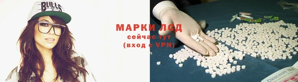 сатива Нязепетровск