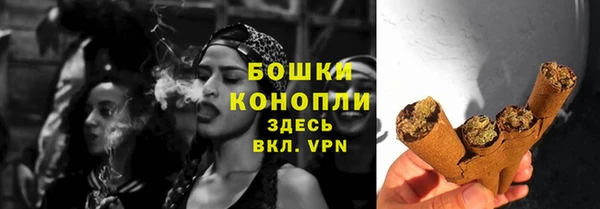 спайс Няндома