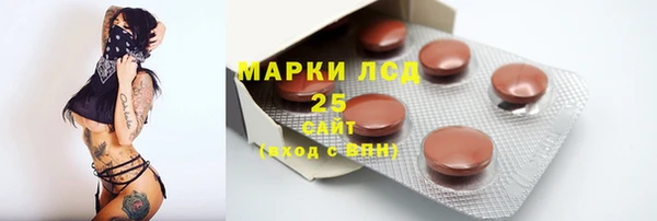 спайс Няндома