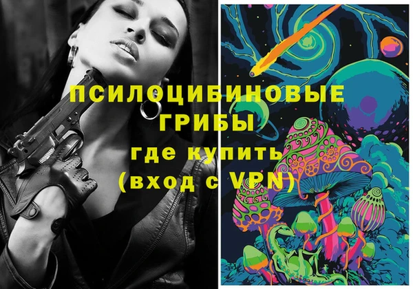 сатива Нязепетровск