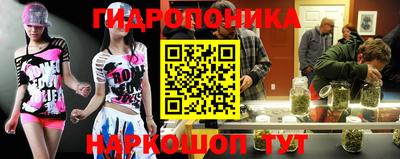 крисы Лесосибирск