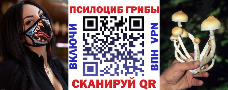 Псилоцибиновые грибы Magic Shrooms Йошкар-Ола