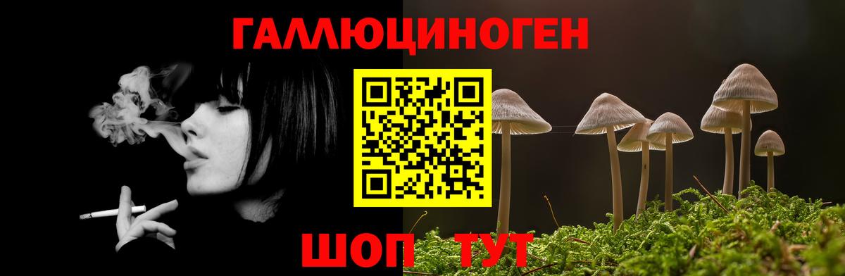 Псилоцибиновые грибы Cubensis Йошкар-Ола